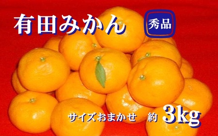 紀州有田みかん 秀品 ３kg（L・M・Sサイズおまかせ）　※2026年11月24日より順次発送予定/ みかん ミカン フルーツ 果物 くだもの 柑橘 和歌山 【sml128A】 