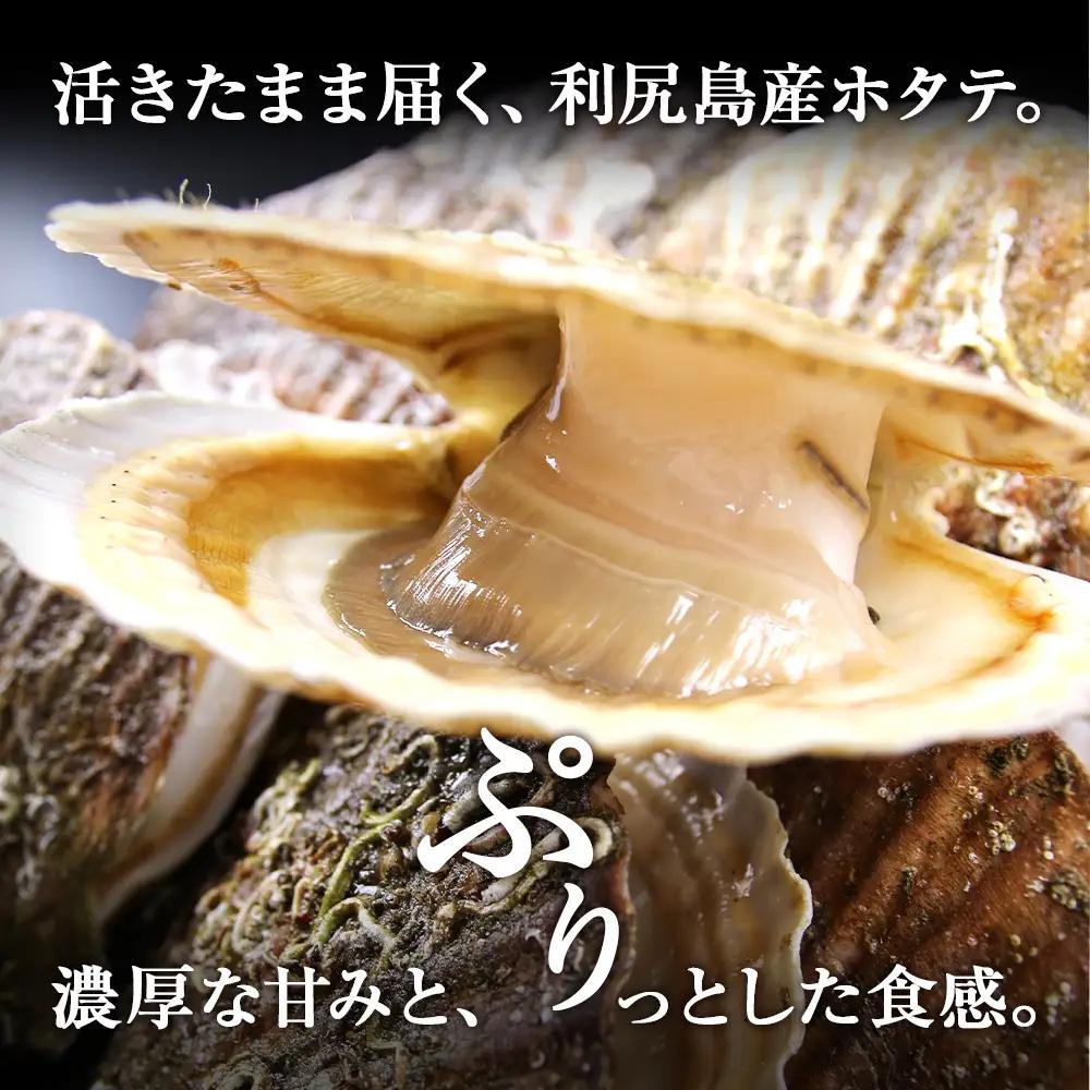 活ホタテ6kg！~2026年11月発送~北海道利尻島から直送！【北勝佐々木】