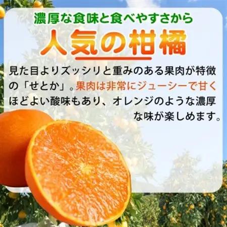 とろける食感!ジューシー柑橘　せとか　約3kg【日高町】【1216962】