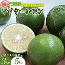 【ふるさと納税】 訳あり 国産 数量限定 マイヤーレモン 3kgまたは5kg 【2024年10月~2025年3月下旬の期間で順次発送】 / レモン 国産 マイヤーレモン 数量限定 訳あり