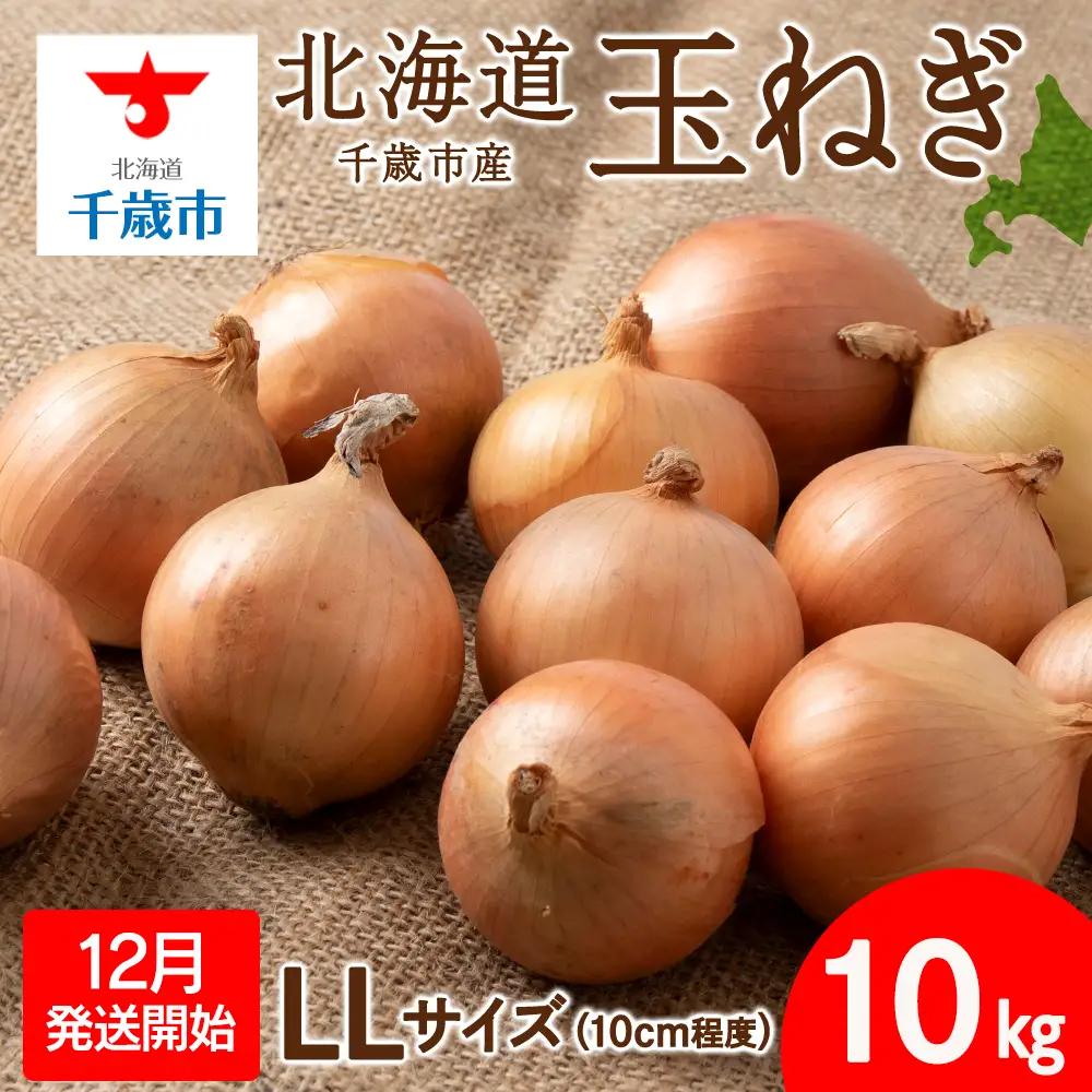 【先行予約】玉ねぎ 10kg LLサイズ 北海道 千歳市産 【假屋フードブリッジ】