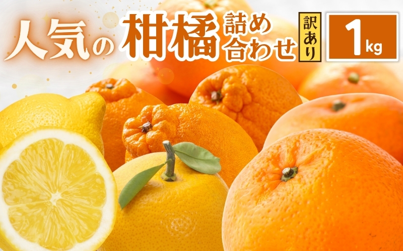 家庭用 柑橘詰合せ1kg+250g（傷み補償分）【訳あり・わけあり】【有田の春みかん詰め合わせ・フルーツ詰め合せ・オレンジつめあわせ】【光センサー選別】【ikd184B】