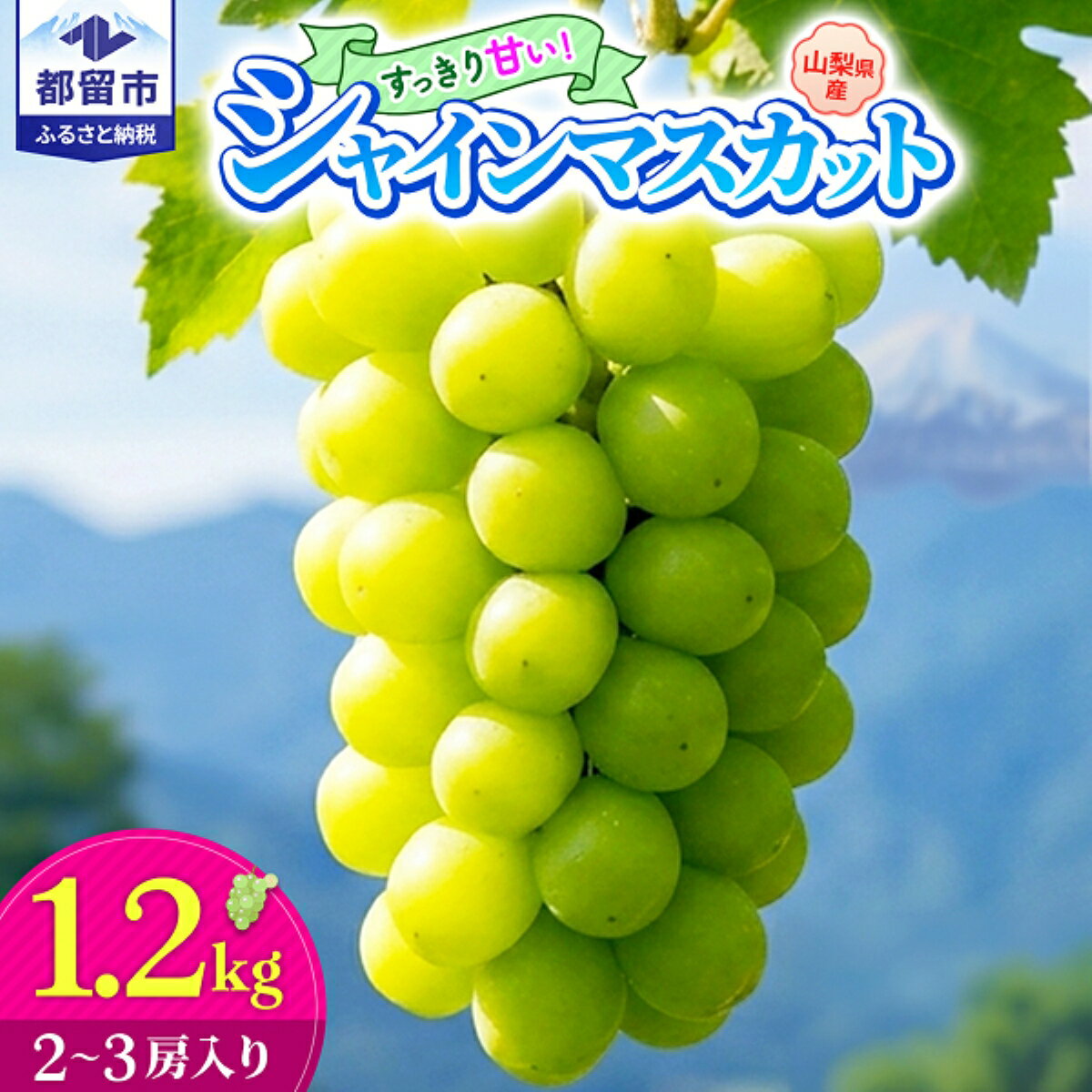 【ふるさと納税】 2026年 先行予約 シャインマスカット 約1.2kg 2〜3房 山梨県産 ぶどう ブドウ 葡萄 フルーツ