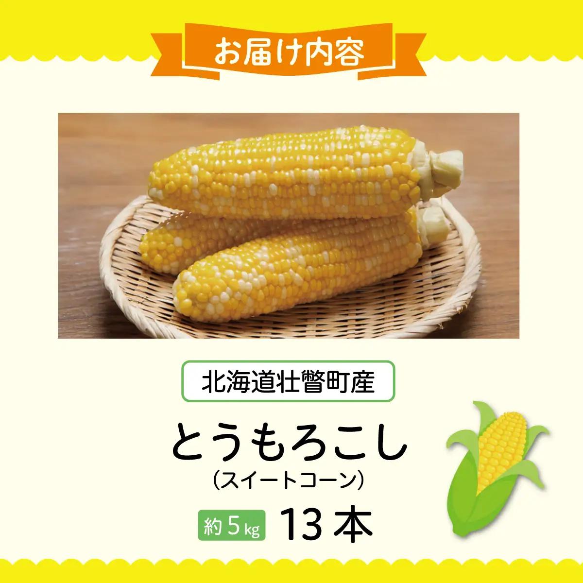 【先行予約】【定期便2回】スイートコーン約5kg(13本) ＋じゃがいも(とうや)約10kg 旬の野菜定期便　SBTN013