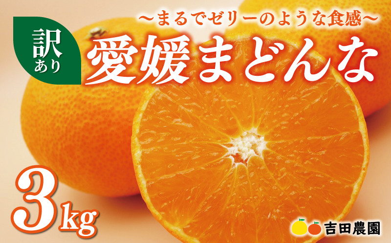 
                   【先行予約 】【数量限定】訳あり 愛媛 まどんな 3kg みかん 家庭用 サイズミックス 12000円 愛果28号 紅まどんな 同品種 あいか アイカ 高級 人気 ブランド 柑橘 果物 フルーツ 期間限定 産地直送 国産 農家直送 わけあり 特産品 お取り寄せ mikan 蜜柑 ミカン マドンナ スマイルカット 甘い おいしい ゼリー ぷるぷる 吉田農園 愛南町 愛媛県
                