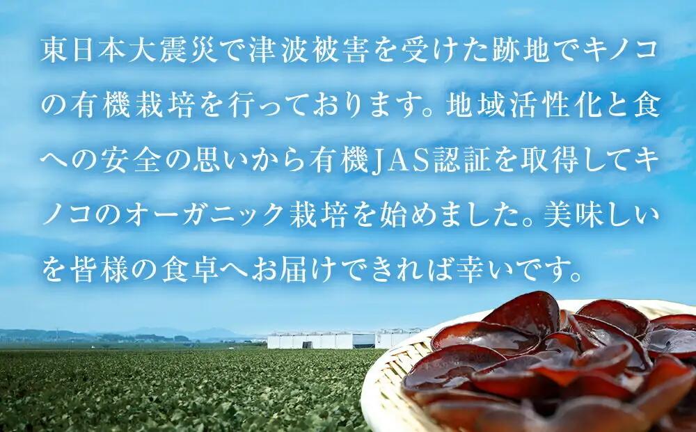 名取市産 きくらげ の 有機乾燥きくらげ （ホール・スライス）　15g×各5袋　計10袋セット