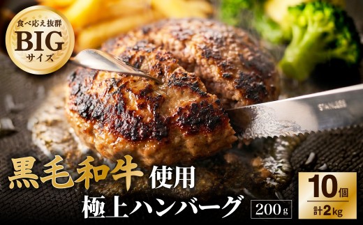 黒毛和牛使用！ 200gのBIG手作りハンバーグ 200g×10個 （計2kg） ／ 黒毛和牛 黒毛和種 和牛 国産牛 牛肉 お肉 肉 ハンバーグ ハンバーグステーキ ハンバーグセット グルメ BBQ バーベキュー キャンプ アウトドア ギフト 贅沢 個包装 冷凍 大阪府 阪南市