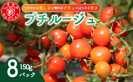 ミニトマト プチルージュ 約1.2kg トマト