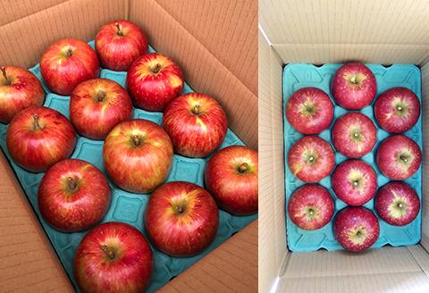 『予約受付』【令和6年8月中旬発送】厳選 九州旬のりんご 3キロ箱(8～12玉入) 九州 リンゴ 林檎 フルーツ 果物 つるが 秋映 紅将軍 シナノスイート シナノゴールド 3kg