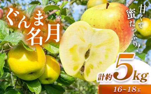 【2025年 先行予約】 ぐんま名月 計約5kg（ 16 ~ 18 玉） | 果物 くだもの フルーツ 林檎 りんご リンゴ ぐんま名月 長野県 塩尻市