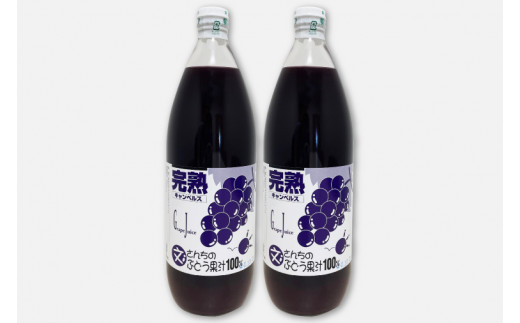 ＼自家農園育ちのぶどうを使った果汁100％ジュース／ 「文さんちの完熟ぶどうジュース 1000ml×2本 」(EH001)