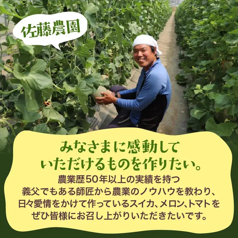 【先行予約】《定期便全2回》佐藤農園のフルーツ定期便 朝採り 計4玉（小玉スイカ・マルセイユメロン・レノンメロン・ペルルメロン）農家直送 秀品 お届け！※2027年5月下旬～7月末の間に順次発送 [a
