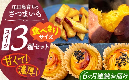 【全6回定期便】ねっとり濃厚！てくてくのさつまいもスイーツ お試し3種セット｜スイートポテト 大学芋 焼き芋 さつまいも サツマイモ 紅はるか 安納芋 芋スイーツ 和菓子 お菓子 おやつ デザート 和スイーツ お取り寄せ ギフト 贈答 贈り物 プレゼント おすすめ 手土産 定番 贈答用 江田島 広島県産 リピート 好評 広島県産 江田島市/峰商事 合同会社 [XAD077]