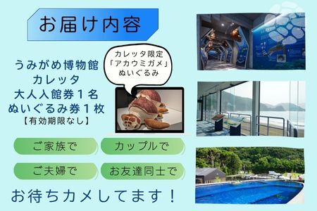 日和佐うみがめ博物館カレッタ　【入館券大人１名と限定スピードくじ１回】