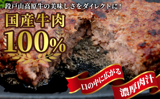 国産 牛肉 100% ハンバーグ レンジ可 湯煎 加熱済 4個 個包装 100ｇ 国産牛 牛 着色料 保存料 化学調味料 不使用 牛肉ハンバーグ 肉 肉汁 -094