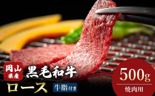 ＜岡山県産黒毛和牛＞ロース　500g　(焼肉用) TY0-0367