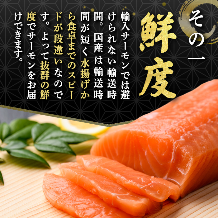 静岡県小山町産 食品添加物不使用 サーモン 国産 富士山 約1kg アトランティック サーモン 訳あり 柵 ポーション アラ 刺身 冷凍 サーモン丼 たたき ワンフローズン