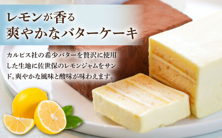 【大人気バターケーキがセットに！】VISAVIS ケーキ 3種セット ＜株式会社シークス＞那珂川市[GAU017]