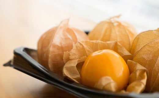 
            【2025年産先行予約】南国フルーツのような甘酸っぱさ！フルーツほおずき（生食用）100g×2パック/長野県白馬村　スーパーフード【C0360328】
          