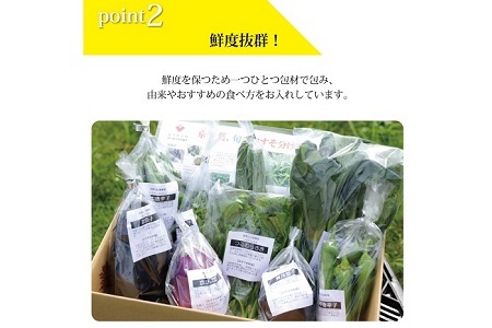 旬の京野菜　レギュラーコース 《 野菜詰め合わせ 野菜セット 京野菜 旬の野菜 新鮮野菜 有機野菜 減農薬 》 ※沖縄・その他離島は配送不可 [011KH001]