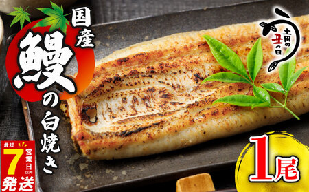 鰻白焼 1尾 うなぎ 【 鰻 】