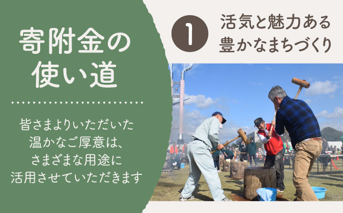 【返礼品なし】佐賀県白石町 ふるさとづくり応援寄附金（100,000円分） [IZY008]