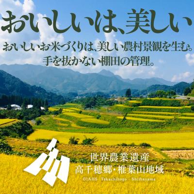 ふるさと納税 高千穂町 《令和7年産》高千穂産 ひのひかり 長衛門米 2kg |  | 01