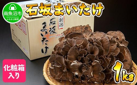 
ES32 新潟県 南魚沼産 厳選 国産 石坂 高級 舞茸 産地直送 1kg
