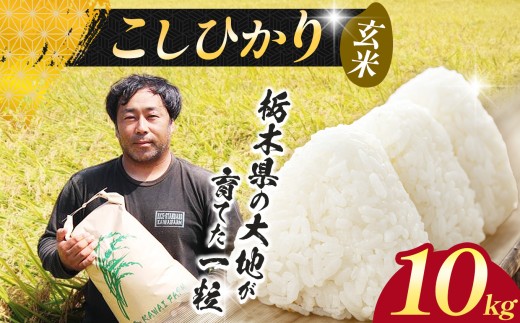 【先行予約】 米 お米 こしひかり コシヒカリ  玄米   10kg |新米  玄米 特A 人気  送料無料  2026年産 栃木県産 栃木県 下野市