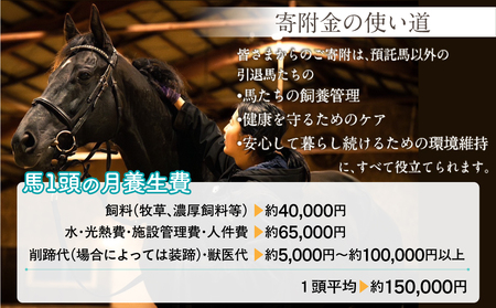 【1万円コース 返礼品無し】より多くの引退馬の幸せな余生を願う　Yogiboヴェルサイユリゾートファーム BRTV024-03