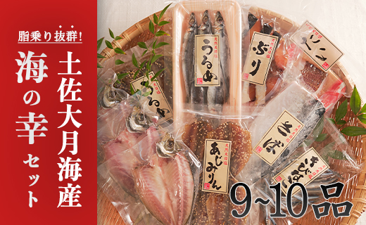 土佐大月海産 海の幸セット　9～10品