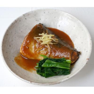 ふるさと納税 利府町 【毎月定期便】さばみそ煮 業務用パック70g8切れ全10回