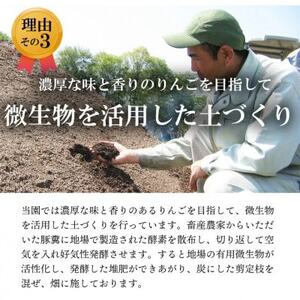 【南信州あじさい農園】葉とらずりんご(シナノゴールド)約5kg【1593257】