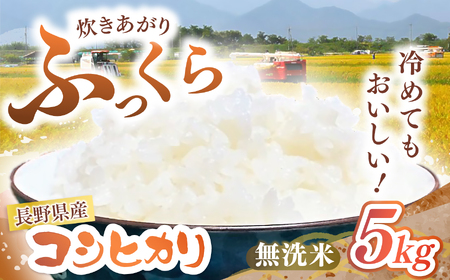 【令和7年度産】長野県産 コシヒカリ 5kg（無洗米） | 米 こめ コメ お米 白米 はくまい 精米 無洗米 コシヒカリ 長野県 松川村 信州