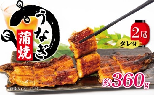 【土用の丑の日】 国産 うなぎ 蒲焼 180g×2尾 約360g タレ付 ( グルメ うなぎ 冷凍 鰻 新鮮 たれ  土曜 丑の日 真空パック おすすめ 滋賀県 竜王 送料無料 )
