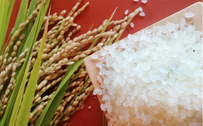 特別栽培米　ヒノヒカリ　精米10kg（5kg×2袋） お米