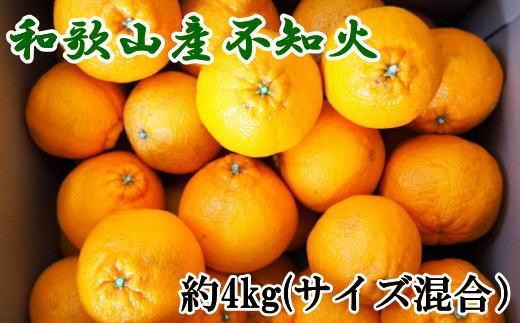 
                  和歌山県産不知火約4kg（サイズ混合）★2027年2月下旬頃より順次発送［TM130］
                