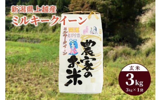 米 お米 令和5年産 ミルキークイーン 新潟県上越産 玄米3kg 1袋 こめ  新潟 新潟県産 上越 上越産