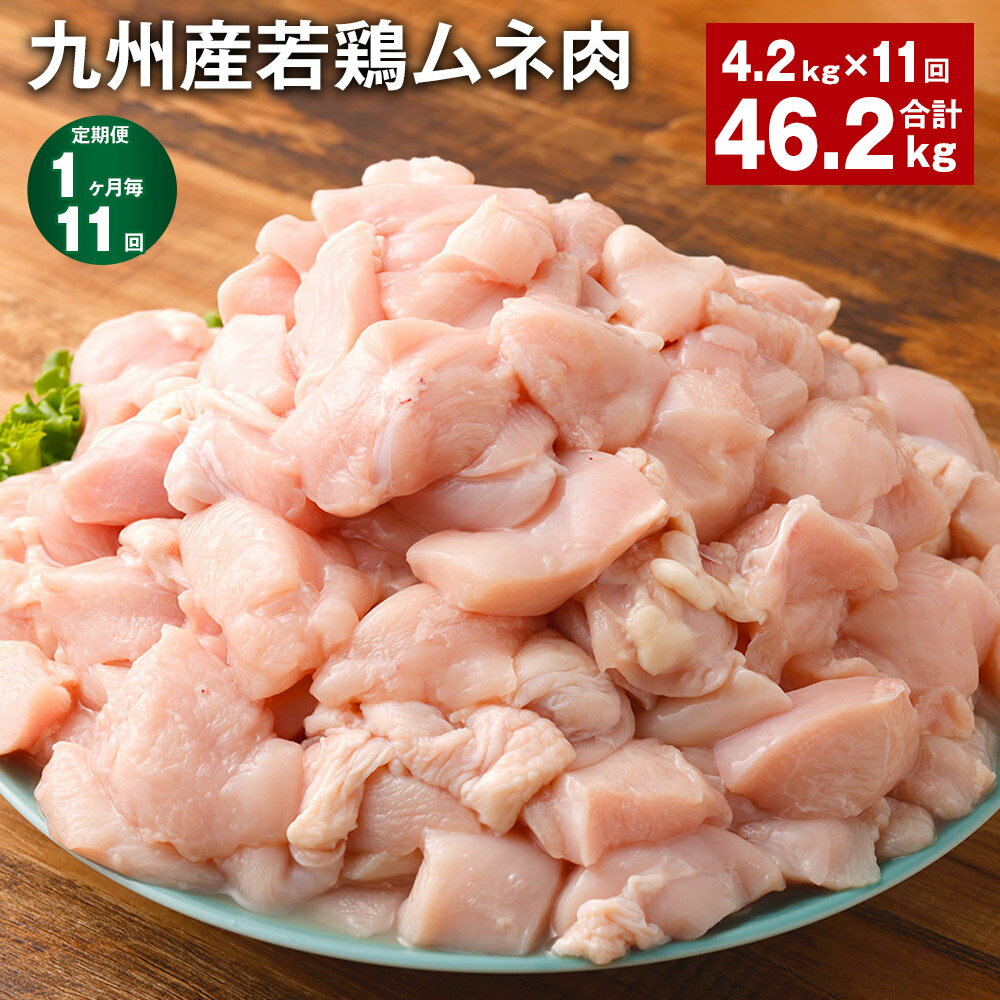 【ふるさと納税】【定期便】【1ヶ月毎11回】九州産若鶏ムネ肉 600g×7袋 計46.2kg（4.2kg×11回） 鶏肉 お肉 ムネ肉 むね肉 小分け 冷凍 九州産 国産 熊本県 菊池市 送料無料《お申し込みの翌月から出荷》