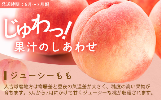 【フルーツ 定期便 3回B】2026年発送分 アンデスメロン・桃・梨 3回配送 旬 フルーツ 定期便 数量限定 メロン 球磨の桃 豊永の梨 果物 名産 熊本 多良木町 092-0508