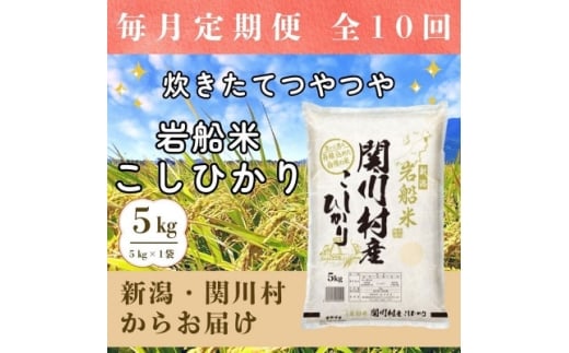 ＜毎月定期便＞炊きたてつやつや 新潟関川村産 岩船米こしひかり精米 5kg全10回【4079665】