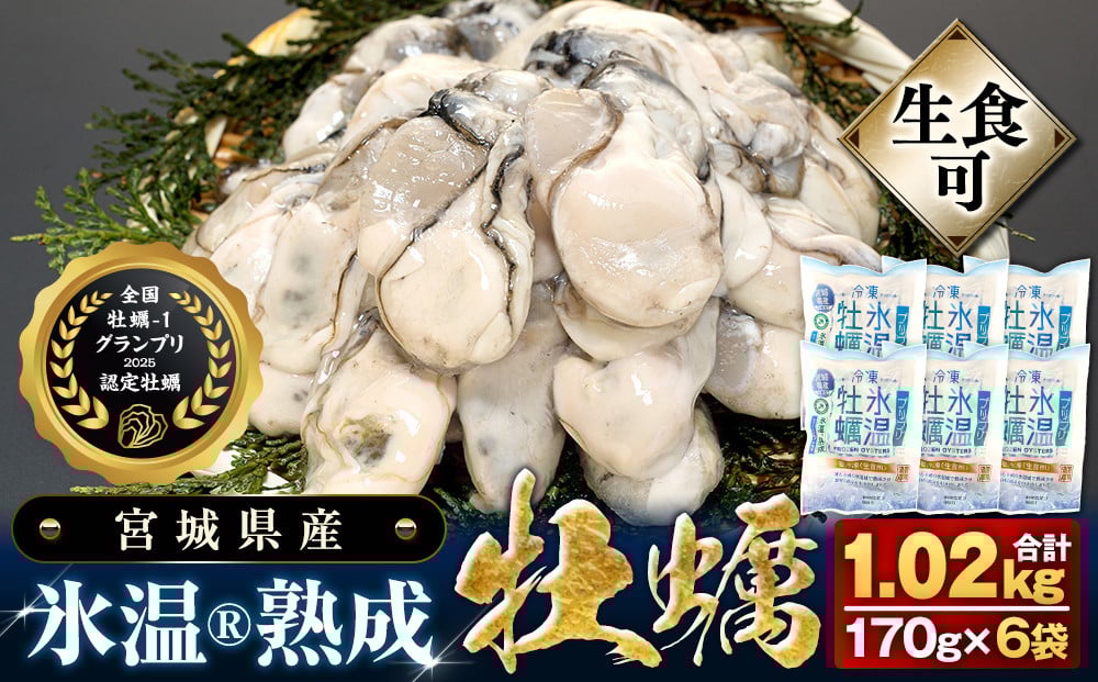 
            宮城県産 かき 氷温熟成 牡蠣 生食用（冷凍）170g × 6袋 約1kg 生食 むき身 小分け むき カキ 冷凍かき 宮城 小分け 冷凍 バラバラ冷凍 冷凍カキ かき 牡蠣 海鮮 魚介 貝類 海の幸 BBQ 家庭用 まるたか水産 宮城県 石巻市
          
