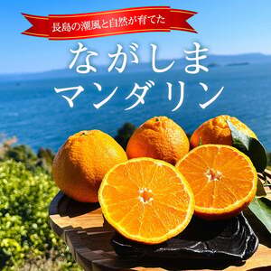 【先行予約】熟成 ながしまマンダリン王(大将季) 約5kg【ながしまマンダリングループ】mandarin-7199