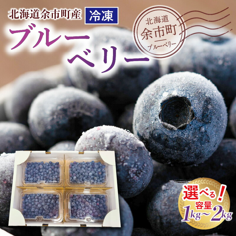 【ふるさと納税】甘くてジューシー 余市産 ブルーベリー 冷凍 北海道 余市町 国産 抗酸化作用 フルーツ 果物 お取り寄せ 小分け パック スムージー ジュース ヨーグルト ジャム アレンジ バラ詰め 不揃い 送料無料 北海道 余市町