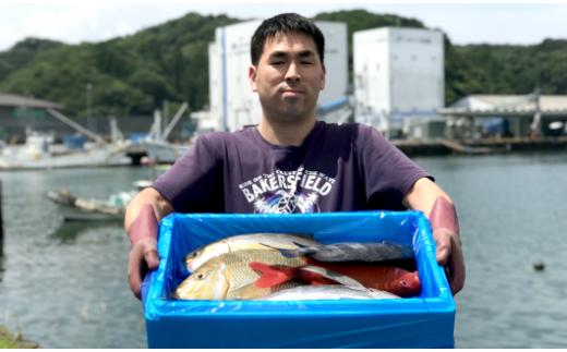 新鮮土佐魚の詰合せセットB