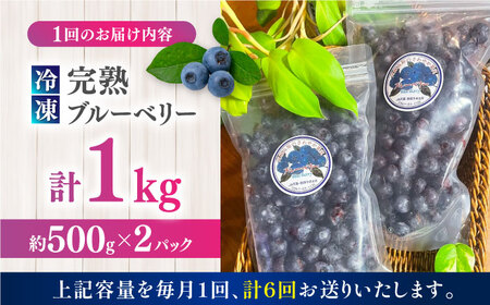 【全6回定期便】旬の美味しさそのまま！冷凍 完熟ブルーベリー 計1kg (約500g×2パック) 熊本県産冷凍ブルーベリー 山都町産冷凍ブルーベリー ブルーベリー フルーツ ブルーベリースムージー 果