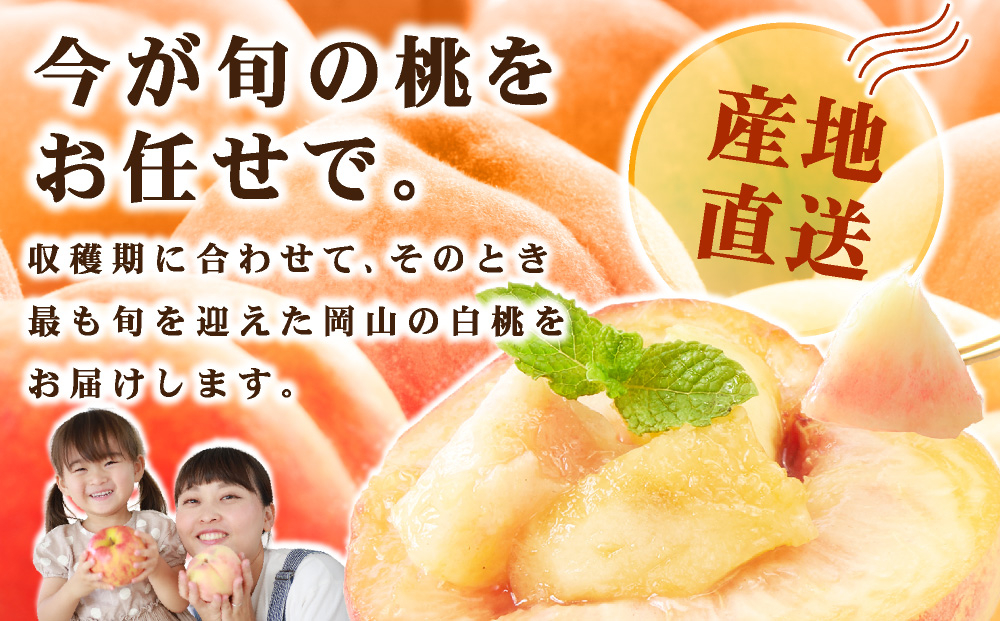 【家庭用】岡山県産 旬の桃 白桃 品種おまかせ 1.4kg 1.4kg
