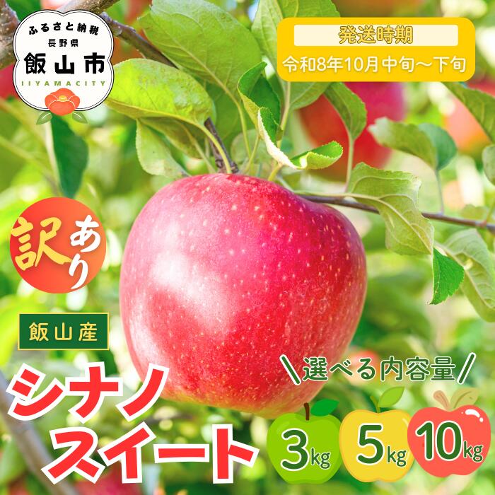 【ふるさと納税】2026年 先行予約 ＼ 訳あり シナノスイート ／ 選べる 3kg / 5kg / 10kg 長野県産 ＜出荷開始：2026年10月中旬頃〜下旬頃＞【 りんご リンゴ 林檎 フルーツ 果物 信州 規格外 B品 産地直送 新鮮 オススメ 美味しい 長野県 飯山市 】（7-A27)
