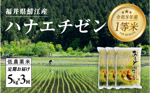 【令和8年産新米！】【先行予約】【2026年9月中旬以降順次発送予定】【3ヶ月連続お届け】福井県産 おしどり米ハナエチゼン 10kg ［D-00508］ / ハナエチゼン 減農薬米 白米 精米 ご飯 コメ ごはん ライス 産地直送 鯖江市