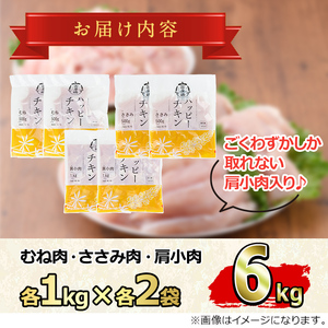【0124806a-2602】<2026年2月発送予定>国産若鶏肉ヘルシーセット(合計6kg・ムネ、ささみ、肩小肉) 鶏肉 鳥肉 とり肉 むね肉 おかず 小分け 国産【エビス】